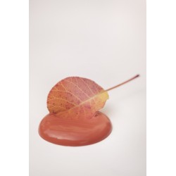 PrettyPeach Vintage Paint